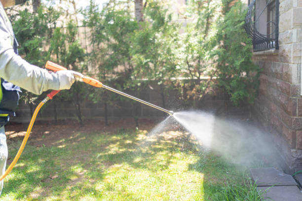 Best Local Pest Control Services  in Leesburg, OH